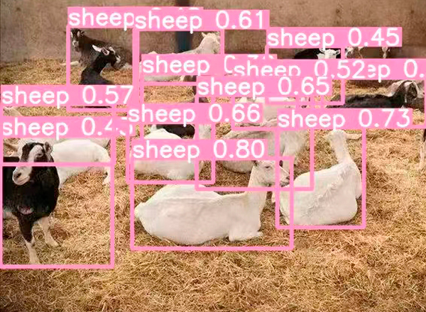 AI智能監控 AI智能監控